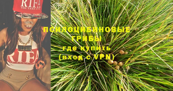 крисы Абдулино