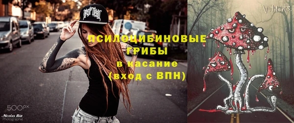 крисы Абдулино