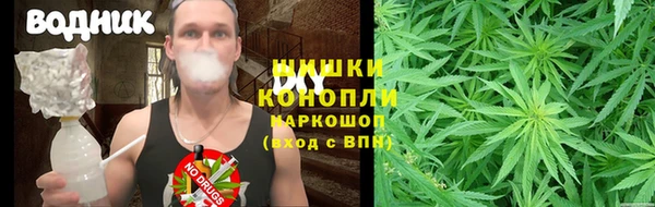 крисы Абдулино