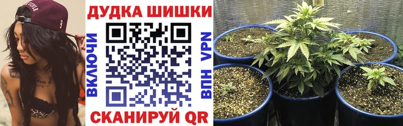 Бошки марихуана гибрид  что такое наркотик  Лебедянь 